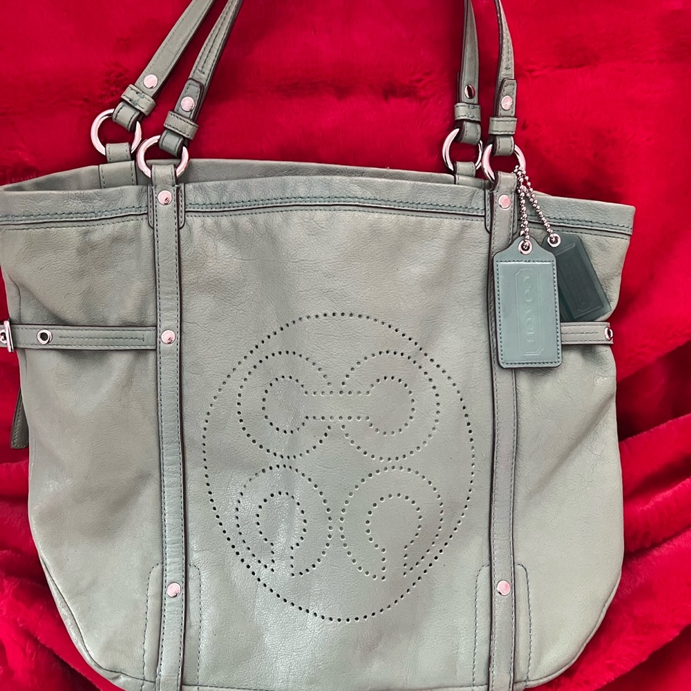 Coach Sea Foam Green Audrey Leather Tote Bag Coach